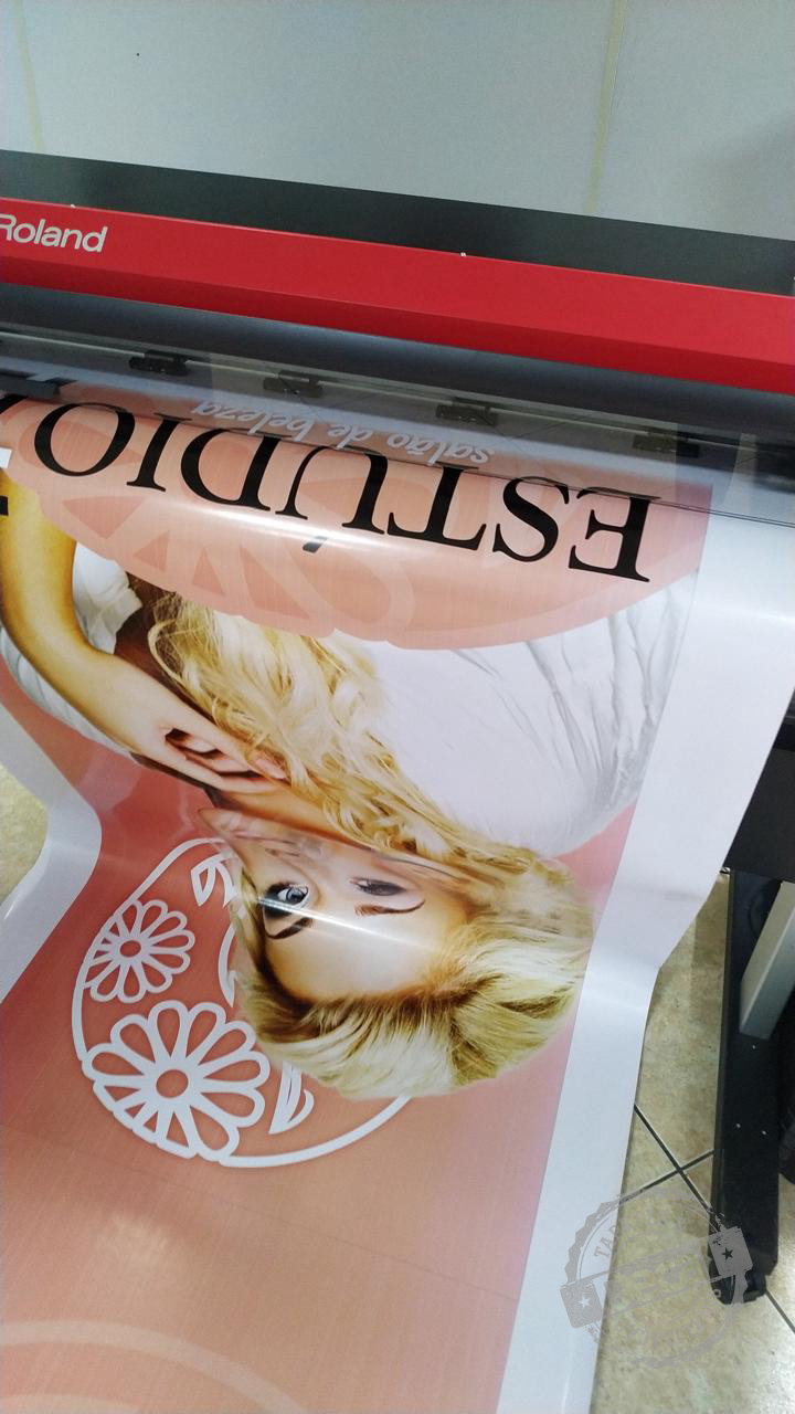 Adesivos de Vitrine 10